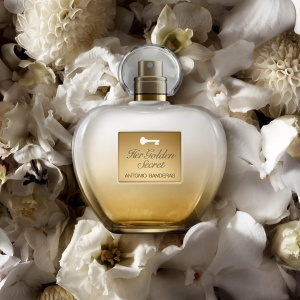 Antonio Banderas Her Golden Secret