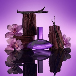 Calvin Klein Euphoria Bold Elixir, Parfum Intense, Femei