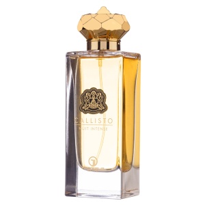 Grandeur Elite Callisto Nuit Intense, Apa de Parfum, Barbati, 85 ml
