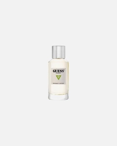 Guess Bergamot Vetiver Apa de Parfum 100 ml, Unisex - Img 2