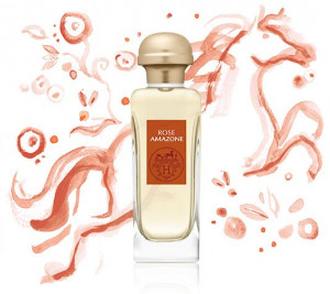 Hermes Rose Amazone - Img 2