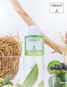 Parfum arabesc Vibrant Vetiver Delight Emir Paris Corner, Apa de Parfum, Unisex, 100 ml