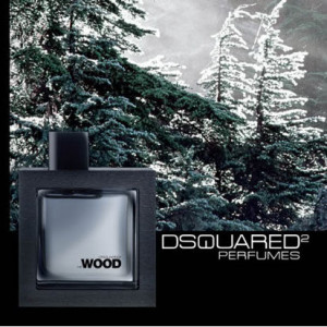 Dsquared He Wood Silver Wind - Img 3