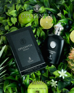 Opulentia Primus Emir Paris Corner, Apa de Parfum, Barbati, 100 ml - Img 2