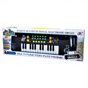 Orga Electronica cu Microfon , Rainbow Piano, Echipata cu 25 clape, Accesorizata cu ritmuri si melodii diferite, Reglarea Volumului