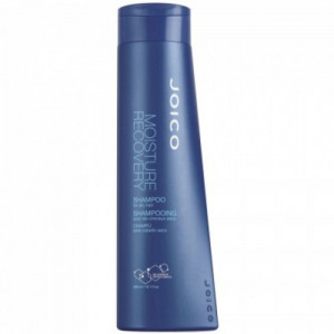 Sampon Joico Moisture Recovery - Img 2