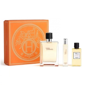 Set cadou Terre D'Hermes, Barbati, Apa de Toaleta, 100 ml + Gel de