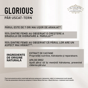 Alfaparf IL Salone Gloriuos Masca pentru par uscat si tern 500 ml - Img 3