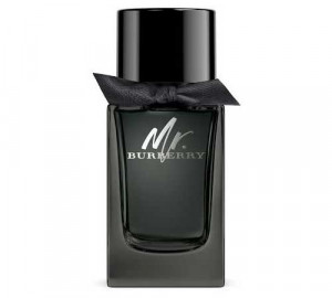 Burberry Mr. Burberry Eau de Parfum, 100 ml