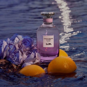 Coach Dreams Moonlight, Apa de Parfum, Femei