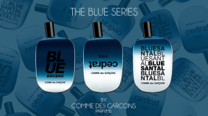 Comme des Garcons Blue Encens - Img 2