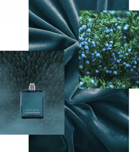 Costume National Secret Woods, Apa de Parfum - Img 4