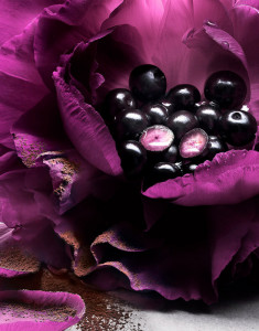 Lancome La Nuit Tresor Le Parfum, Apa de Parfum, Femei