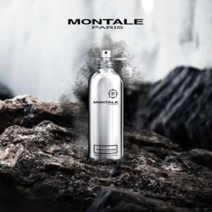 Montale Wood & Spice, Apa de Parfum, Unisex