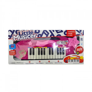 Orga Electronica pentru copii Little Musicer - Img 2