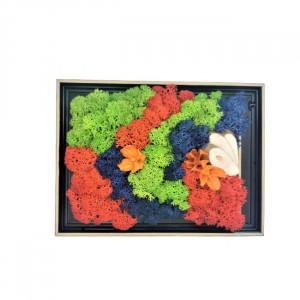 Tablou decorativ cu licheni stabilizati, model campie, 19x14 cm