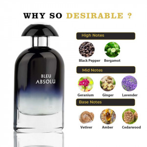 Bleu Absolu, Riiffs, Apa de Parfum, Barbati, 100ml - Img 3