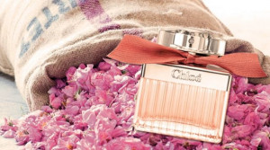 Chloe Roses De Chloe, Femei, Apa de Parfum - Img 3
