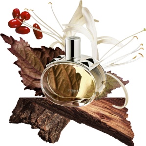 Crema de corp parfumata Hermes Barenia, 200 ml