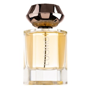 Fragrance World Fw L'uomo, Apa de Parfum, Barbati, 100 ml