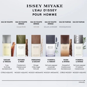 Issey Miyake, L'Eau d'Issey Pour Homme, Apa de Parfum