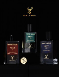 North Stag HUIT VIII Paris Corner, Extract de Parfum, Unisex, 100 ml 1