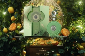 North Stag Paris Corner, Expressions TROIS III, Extract de Parfum, Unisex, 100 ml