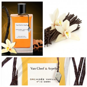 Van Cleef & Arpels Collection Extraordinaire Orchidee Vanille - Img 3