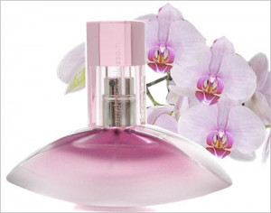 CK Euphoria Blossom 50 ml