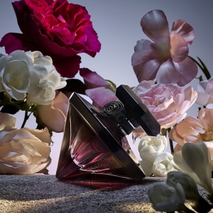 Lancome La Nuit Tresor Fleur De Nuit, Apa de Parfum, Femei