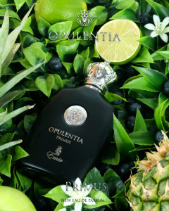 Opulentia Primus Emir Paris Corner, Apa de Parfum, Barbati, 100 ml - Img 4