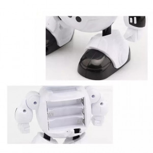 Robot interactiv Mr Robot