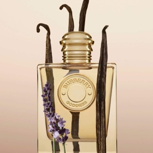 Set cadou Goddess Burberry, Femei, Apa de Parfum, 50 ml + Lotiune de corp, 75 ml - Img 2
