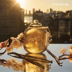 Set Coach Gold, Apa de Parfum, Femei, 100 ml +10 ml