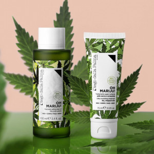 Ulei seminte de cannabis Sativa Oh Mariju! Diego Dalla Palma, 100 ml - Img 2