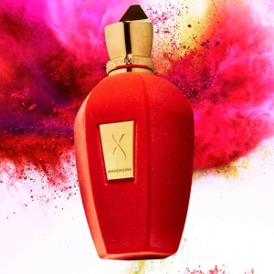 Xerjoff Wardasina, Apa de Parfum, Unisex