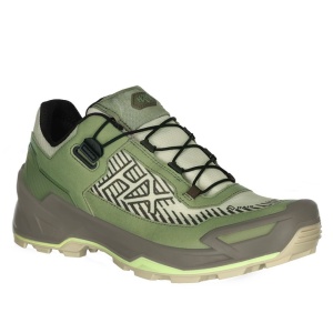 BLACK EAGLE EVO Adventure GTX low/olive green