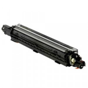 Unitate developare Ricoh C3004, 3504, 6004 BK DEV UNIT, black, 300000 pagini, compatibila D242-3060, D242-3064, D242-3085, D242-3091
