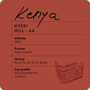 Kenya Nyeri Hill-AA