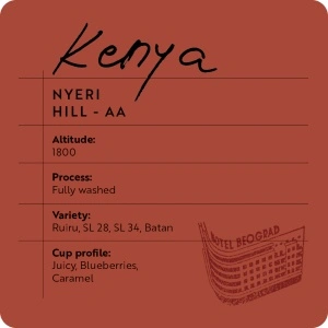 Kenya Nyeri Hill-AA