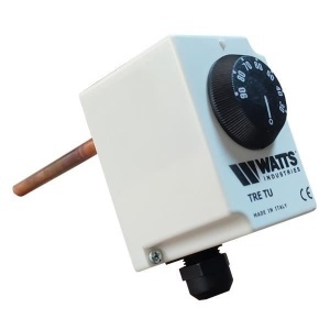 Termostat Imersie Watts