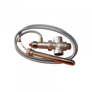 Supapa termica WATTS STS 20