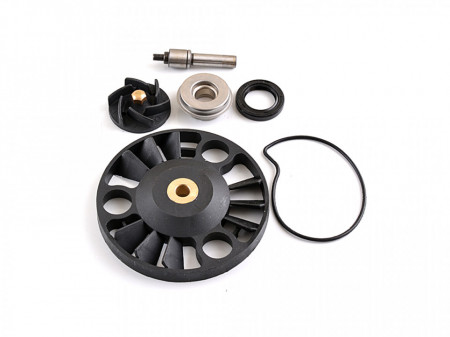 Set reparatie pompa apa Piaggio Beverly RST 125/X8/X9