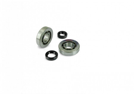 Set rulmenti ambielaj Peugeot AC, LC