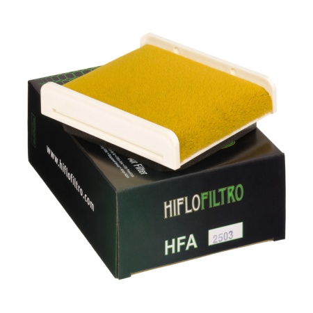 Element filtrant HFA2503, Hiflo Filtro