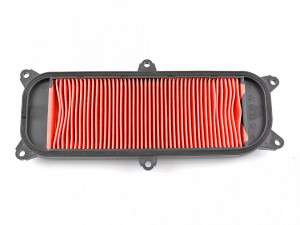 Element filtrant Kymco People LC 250 (03-04) / People S I 250 (07) / People S (06) / People S I 300 (08)