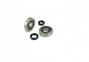 Set rulmenti ambielaj Peugeot AC, LC