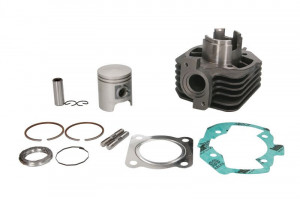 Set motor Peugeot Ludix/Vivacity AC, 39Mm