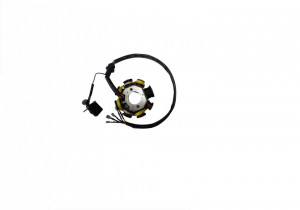 Stator ATV Bashan 200cc