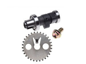 Ax cu came Sym Orbit, 4T